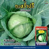 ราคา เมล็ดกะหล่ำปลี Cabbage ตราภูเขาทอง เมล็ดพันธุ์กะหล่ำปลี เมล็ดพันธุ์ผัก เมล็ดผักสวนครัว (5258891539)
