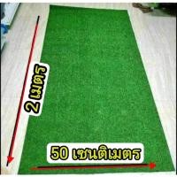 ราคา กว้าง 2เมตร ยาว50เซนติเมตร หญ้าเทียมเกรดAAA หญ้าสูง1cm หญ้าเทียมราคาโรงงาน (28753687474)