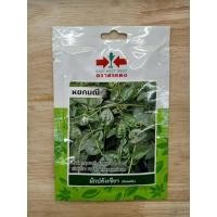 ราคา ผักปลังเขียว หยกมณี SD/OP-070 ผักซองศรแดง ผักปลัง เมล็ดพันธุ์ลูกผสม เมล็ดพันธุ์ผักสวนครัว ผักศรแดง (17796001783)