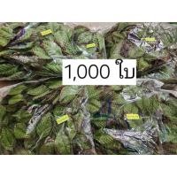 ราคา 1,000 ใบ ใบกุหลาบผ้า ใบไม้ผ้า ใบไม้ปลอม ใบไม้ตกแต่งทำงานฝีมือจัดช่อdiy (25130268945)