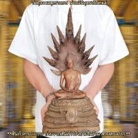 ราคา พระนาคปรก วัดเทพศิรินทราวาส ท่านเจ้าคุณนรรัตน์พุทธาภิเษก หน้าตัก 5 นิ้ว เนื้อโลหะทองเหลือง องค์พระสามารถถอดออกจากฐานได้ (21032000564)