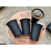 ราคา กระถางต้นไม้ ทรงสูง ทรงปากแตร (5037721859)