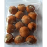 ราคา ขายส่ง เมล็ดเฮเซลนัท hazelnut พืชตระกูลถั่ว พืชเศรษฐกิจ เมล็ดพันธุ์พืช ผลไม้ ธัญพืช ผลไม้แห้ง 10 เมล็ด (10375825304)