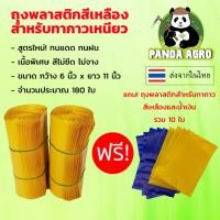 ราคา ถุงพลาสติกสีเหลือง สำหรับทากาวเหนียวดักแมลง *** ฟรี! ถุงพลาสติกสีเหลือง 5 ใบ สีน้ำเงินฟ้า 5 ใบ *** (4615953939)
