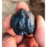 ราคา ลูกกัลปังหาดำหรือลูกสะดือทะเลสีดำธรรมชาติ หายากจากทะเลอันดามันความเชื่อทางใต้นำไปทำปะคำทำแหวนหรือพกพาป้องกันสิ่งช่วงร้าย (15996718899)