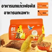 ราคา อาหารนกแก้ว 500g อาหารนกแก้วฟอพัส อาหารนกแก้วกรีนชีค อาหารนกเฉพาะ เหมาะสําหรับ อาหารนกค๊อกคาเทล (26613579699)