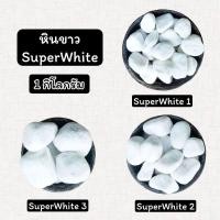 ราคา หินสีขาว super white (1 กิโลกรัม) หินโรยกระถาง​ หินโรยพื้น หินแต่งสวน หินตู้ปลา (24051927828)