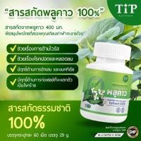 ราคา สารสกัดพลูคาว 100% ชนิดแคปซูล Tip Product (12975548018)