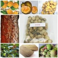ราคา ลดราคาถูกพิเศษ เมล็ดมะหาด Monkey Fruit หาดหนุน ปวกหาด หาด ขนุนป่า แก่นมะหาด สมุนไพรผิวขาว ครีมมะหาด สบู่มะหาด 50 เมล็ด (2637789137)