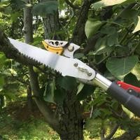 ราคา กรรไกรตัดผลไม้ กรรไกรตัดกิ่งไม้สูง กรรไกรตัดหนีบ กรรไกรตัดกิ่งด้ามยาว พร้อมเลื่อย ด้ามอลูมิเนียม ยาวสุด3เมตร แถมใบเลื่อย (27912964330)