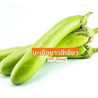 ราคา เมล็ดพันธุ์ มะเขือยาวสีเขียว 70 เมล็ด (4477468786)