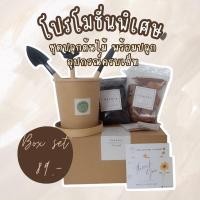 ราคา พร้อมส่ง ชุดปลูกต้นทานตะวันแคระ พร้อมปลูก Box Set ของขวัญสุดพิเศษ (18490405106)