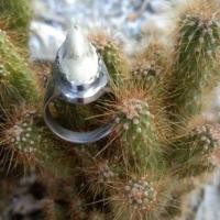 ราคา แกงสเตนเลส...หัวหางกระเบนแท้ไซร้54✨ความสูง1ซ.ม....ความยาว2ซ.ม. (12480291454)