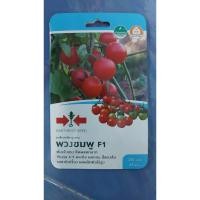 ราคา มะเขือเทศสีดาลูกผสม พวงชมพู SD/F1-063 ศรแดงF1 เมล็ดพันธุ์ มะเขือเทศ เมล็ดพันธุ์ลูกผสม เมล็ดพันธุ์ผัก (21092939195)