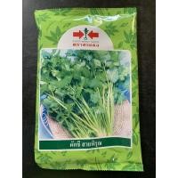 ราคา เมล็ดพันธ์ุ ผักชีสายพิรุณ ของใหม่‼️ เมล็ดผักชี สายพิรุน ผักชีศรแดง (8613915117)