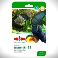 ราคา เมล็ดพันธ์ุ ฟักทองลูกผสม F1 มรกตดำ 35 #ศรแดง (934576308)