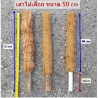 ราคา เสาไม้เลื้อย เสาหลักใยมะพร้าว หลักไม้เลื้อย ไม้เกาะเลื้อย เสาต้นไม้ หลักมะพร้าว (2986765002)
