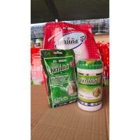 ราคา สตาร์เกิลจี ยาโรยป้องกัน และกำจัดแมลง เพลี้ยแป้ง เพลี้ยอ่อน แมลงหวี่ขาว หนอน ด้วง เม็ดสีชมพู (19580126554)