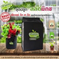 ราคา ชุดปลูกผักสำเร็จ ครบเซ้ตพร้อมปลูก ผักสลัดมิกซ์ ปลูกได้แม้พื้นที่จำกัด ปลูกง่าย ไม่ยุ่งยาก โตไว ออแกนิก100% (6129044078)