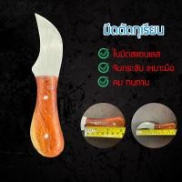 ราคา มีดกรีดทุเรียน มีดตัดทุเรียน มีดพกพา มีดตัดขั้วทุเรียน ด้ามไม้ (19279633328)