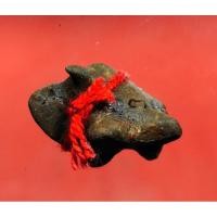 ราคา วัวธนูอาคม เนื้อดินกลางวัดร้าง (3361158755)