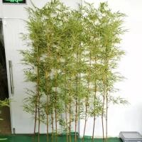 ราคา ไผ่ปลอมแต่งบ้าน ไผ่ต้นใหญ่ ไผ่มงคล ต้นไม้มงคล ต้นไม้ตรุษจีน ต้นไม้แต่งบ้าน(พร้อมส่ง)plant-pp (24656907304)