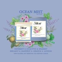 ราคา เทียนหอมไขถั่วเหลืองออร์แกนิค 100% สีน้ำเงิน กลิ่น OCEAN MIST 200 กรัม (6390997566)