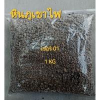 ราคา หินภูเขาไฟ วัสดุปลูก (24650675567)