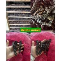 ราคา มี 5 รายการ ส้มป่อย ว่านพุทธกวัก ว่านม้าแดง ว่านเฒ่าปัดตลอด ว่านมหาหงส์ สะเลเต ดอก สีขาว ว่านร่อนทอง (25456057949)