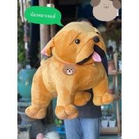 ราคา น้องหมาเจมส์ ตัวใหญ่ ขนนุ่ม ราคาถูกที่สุด พร้อมส่ง มีเก็บปลายทาง (5499023750)