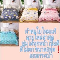 ราคา ผ้าห่ม ผ้าห่มใยไหมแท้ ห่มได้ทุกหน้าปราศจากไรฝุ่น ลายใหม่ล่าสุด ขนาด6ฟุต (10238723776)