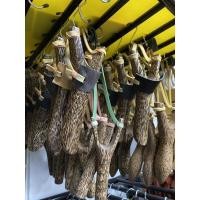 ราคา Gold หนังสติ๊กไม้ตาล คละแบบ ราคาพิเศษ 1 ชิ้น (25277233614)