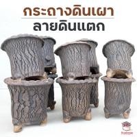 ราคา กระถางดินเผาลายดินแตก ทรงสูง กระถางต้นไม้ ไม้อวบน้ำ กุหลาบหิน cactus&succulentหลากหลายสายพันธุ์ (7143541089)