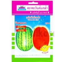 ราคา เมล็ดแตงโม จินตหรา ตะวันต้นกล้า (29551245761)