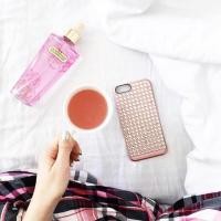 ราคา Lucien Element iPhone 6 /6scase (482356472)