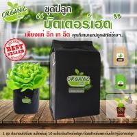 ราคา ชุดปลูกผักสำเร็จ ครบเซ้ตพร้อมปลูก ผักสลัดบัตเตอร์เฮด ปลูกได้แม้พื้นที่จำกัด ปลูกง่าย ไม่ยุ่งยาก โตไว ออแกนิก100% (7529043956)