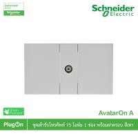 ราคา Schneider Electric ชุดเต้ารับโทรทัศน์+ฝา1ช่อง สีเทา TV Socket 75 ohm, Gray, รุ่น AvatarOn A | PlugOn (24308081131)
