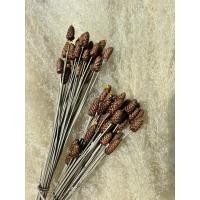 ราคา ดอกกระถินทุ่ง ดอกใหญ่ สีธรรมชาติ กระดุมทอง อบแห้งธรรมชาติ (26319976011)