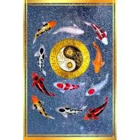 ราคา รูปโปสเตอร์ ปลาคาร์ฟ ไม่มีกรอบ ติดผนัง ภาพมงคล เสริมฮวงจุ้ย ตกแต่งบ้าน ขนาด 60*90 cm (26224763101)