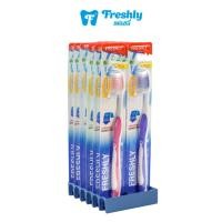 ราคา Freshly แปรงสีฟัน แพ็ค 12 ด้าม ขนแปรงนุ่ม | Freshly 536 | Soft Toothbrush Pack of 12 (19306061261)