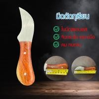 ราคา มีดตัดทุเรียน มีดอเนกประสงค์ มีดปอกทุเรียน มีดตัดทุเรียนพกพา มีด มีดสแตนเลส (22741966286)