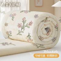 ราคา ผ้าห่ม ผ้าห่มนาโน 6ฟุต ผ้าห่มนวมแบบหนา (18384570862)