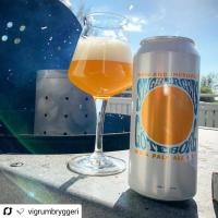 ราคา แก้วเบียร์ เทกุ Teku Craft beer glass คราฟเบียร์ แก้วคราฟเบียร์ สำหรับ เหล้า ค็อกเทล กาแฟ (25764742965)