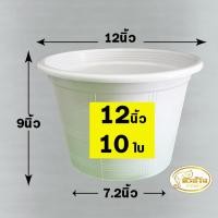 ราคา กระถาง กระถางต้นไม้พลาสติก กระถางต้นไม้ กระถางปลูกต้นไม้ สีขาว ขนาด 12 นิ้ว 10 ใบ (12390158261)