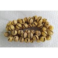 ราคา [1 แพ็ค 20 ลูก] กระพรวนทองเหลืองแท้ 2.5 ซม. งานทองเหลือง ใช้แต่งบ้าน ห้อยคอวัวควาย ตกแต่งวัวควาย (6196619206)