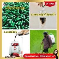 ราคา ส่งฟรี ปุ๋ยนาโนแคปซูล 300 บาท 50 เม็ด นาโน (นาโนแคปซูล) (18765125400)