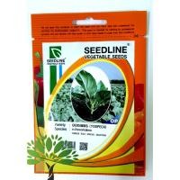 ราคา พันธุ์คะน้า เมล็ดคะน้า เมล็ดคะน้าใบ คะน้า คะน้ายอดเพชร เมล็ดคะน้ายอด เมล็ดคะน้าต้น เมล็ดคะน้าหวาน 8 (18085330271)