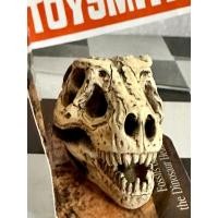 ราคา [พร้อมส่งจากไทย] ของตกแต่งจิ๋ว กะโหลกไดโนเสาร์ ทีเร็กซ์ T-REX รายละเอียดสวยมาก คุณภาพญี่ปุ่น (28575933075)