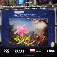 ราคา Bluebird-Cattleya Orchid and Three Hummingbirds,1871/Martin Johnson Heade ขนาด 1000 ชิ้น Made in Europe มีสินค้าพร้อมส่ง (14603376070)