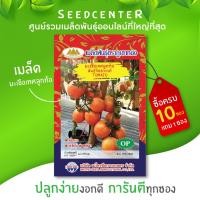 ราคา เมล็ดมะเขือเทศลูกท้อ ขนาด 0.5 กรัม ภูเขาทอง (4217604711)